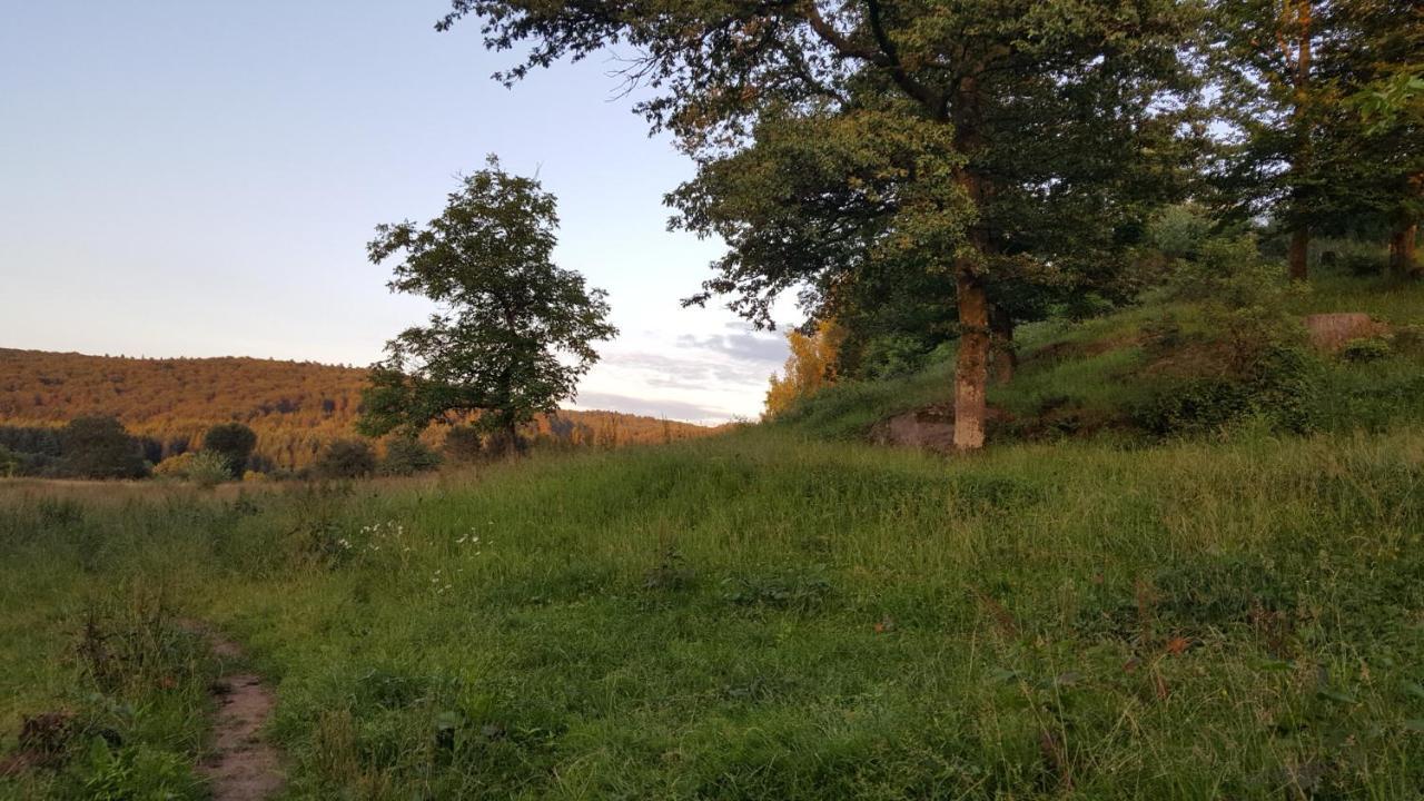 Ma Roulotte Sous Les Chenes- Au Naturel Raon-aux-Bois Esterno foto